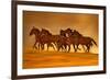 Night Runners-Lisa Dearing-Framed Photographic Print