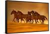 Night Runners-Lisa Dearing-Framed Stretched Canvas