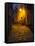 Night Scene from the Streets of Montefillairi Chianti Tuscany-Terry Eggers-Framed Stretched Canvas