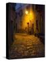 Night Scene from the Streets of Montefillairi Chianti Tuscany-Terry Eggers-Stretched Canvas