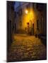 Night Scene from the Streets of Montefillairi Chianti Tuscany-Terry Eggers-Mounted Photographic Print