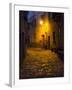 Night Scene from the Streets of Montefillairi Chianti Tuscany-Terry Eggers-Framed Photographic Print