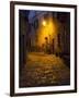 Night Scene from the Streets of Montefillairi Chianti Tuscany-Terry Eggers-Framed Photographic Print