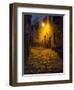 Night Scene from the Streets of Montefillairi Chianti Tuscany-Terry Eggers-Framed Photographic Print