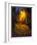 Night Scene from the Streets of Montefillairi Chianti Tuscany-Terry Eggers-Framed Photographic Print