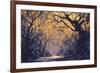 Night Scene of Autumn Forest,Landscape Painting-Tithi Luadthong-Framed Art Print