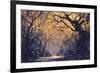 Night Scene of Autumn Forest,Landscape Painting-Tithi Luadthong-Framed Art Print