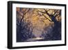 Night Scene of Autumn Forest,Landscape Painting-Tithi Luadthong-Framed Art Print