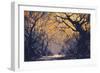 Night Scene of Autumn Forest,Landscape Painting-Tithi Luadthong-Framed Art Print