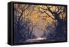 Night Scene of Autumn Forest,Landscape Painting-Tithi Luadthong-Framed Stretched Canvas