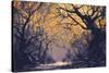 Night Scene of Autumn Forest,Landscape Painting-Tithi Luadthong-Stretched Canvas