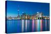 Night Scene of Downtown Toronto-yanmingzhang-Stretched Canvas