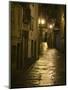 Night Scene, Santiago De Compostela, Galicia, Spain-R H Productions-Mounted Photographic Print