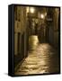 Night Scene, Santiago De Compostela, Galicia, Spain-R H Productions-Framed Stretched Canvas