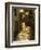 Night Scene, Santiago De Compostela, Galicia, Spain-R H Productions-Framed Photographic Print