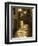 Night Scene, Santiago De Compostela, Galicia, Spain-R H Productions-Framed Photographic Print