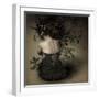 Night Scented Girl-Kiyo Murakami-Framed Photographic Print