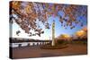Night Shot of Cherry Trees, Portland Water Front, Portland Oregon.-Craig Tuttle-Stretched Canvas