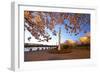 Night Shot of Cherry Trees, Portland Water Front, Portland Oregon.-Craig Tuttle-Framed Photographic Print