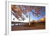 Night Shot of Cherry Trees, Portland Water Front, Portland Oregon.-Craig Tuttle-Framed Photographic Print