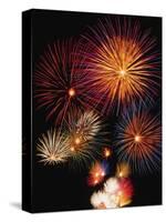 Night Sky Filled with Fireworks-Bill Ross-Stretched Canvas