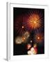 Night Sky Filled with Fireworks-Bill Ross-Framed Photographic Print