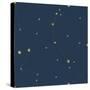 Night Sky Navy and Gold Pattern 05A-Sara Zieve Miller-Stretched Canvas