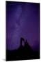 Night sky over Stone arch, called the Julia arch, Chad-Enrique Lopez-Tapia-Mounted Photographic Print
