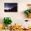 Night Sky with the Moon and Venus over Mountains Near Copacabana and Lake Titicaca-Alex Saberi-Photographic Print displayed on a wall