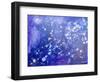 Night Sky-Margaret Coxall-Framed Giclee Print