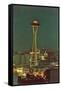 Night, Space Needle, Seattle, Washington-null-Framed Stretched Canvas