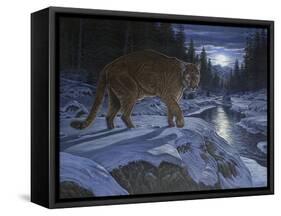 Night Stalker-Bruce Dumas-Framed Stretched Canvas