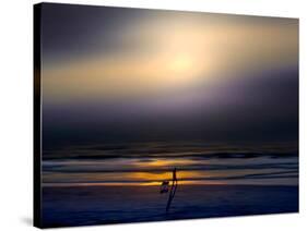 Night Stroll-Josh Adamski-Stretched Canvas