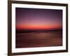 Night Surfer-Josh Adamski-Framed Photographic Print