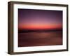 Night Surfer-Josh Adamski-Framed Photographic Print