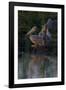 Night Swim-Howard Ruby-Framed Photographic Print