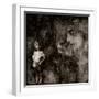 Night Terrors-Lydia Marano-Framed Photographic Print