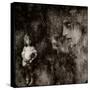 Night Terrors-Lydia Marano-Stretched Canvas