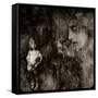 Night Terrors-Lydia Marano-Framed Stretched Canvas