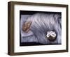 Night time, 2009-Evelyn Williams-Framed Giclee Print