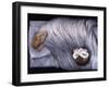 Night time, 2009-Evelyn Williams-Framed Giclee Print