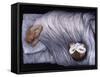 Night time, 2009-Evelyn Williams-Framed Stretched Canvas