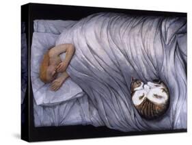 Night time, 2009-Evelyn Williams-Stretched Canvas