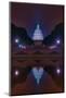 Night Time DC Capitol Building-Steven Maxx-Mounted Photographic Print