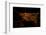 Night time satellite image of Barcelona, Spain-null-Framed Photographic Print