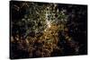 Night time satellite image of Berlin, Germany-null-Stretched Canvas