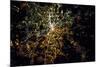 Night time satellite image of Berlin, Germany-null-Mounted Photographic Print