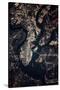 Night time satellite image of Charleston, South Carolina, USA-null-Stretched Canvas