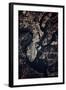 Night time satellite image of Charleston, South Carolina, USA-null-Framed Photographic Print