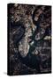 Night time satellite image of Charleston, South Carolina, USA-null-Stretched Canvas